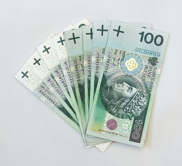 Co kupują Polacy za pieniądze z 500+?